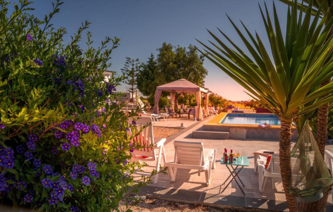 Exceptional Rico'S Country Retreat Almendricos Leilighet Puerto Lumbreras Eksteriør bilde