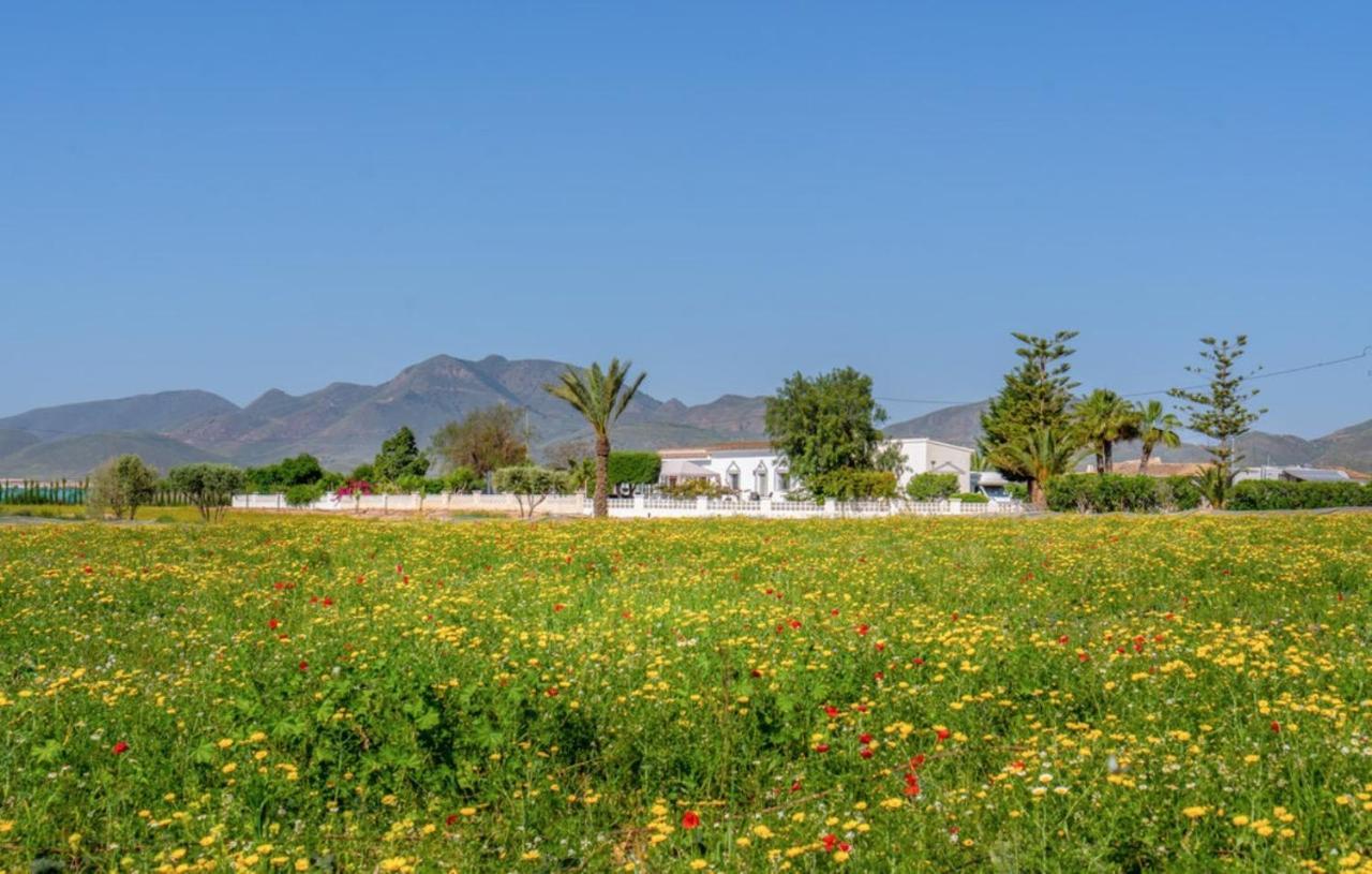 Exceptional Rico'S Country Retreat Almendricos Leilighet Puerto Lumbreras Eksteriør bilde