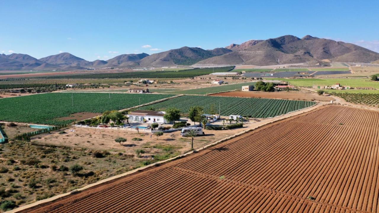 Exceptional Rico'S Country Retreat Almendricos Leilighet Puerto Lumbreras Eksteriør bilde